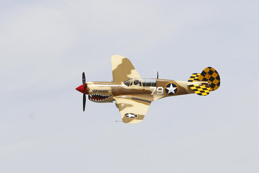 P-40 In Flight Photograph by Shoal Hollingsworth