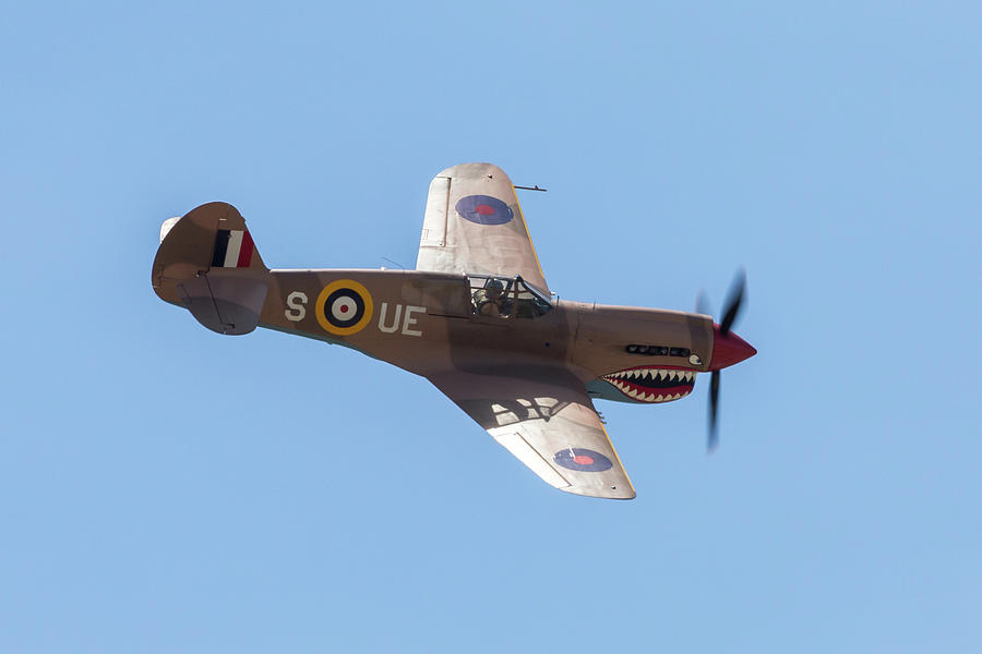 P-40 in UK Colors Photograph by John Daly