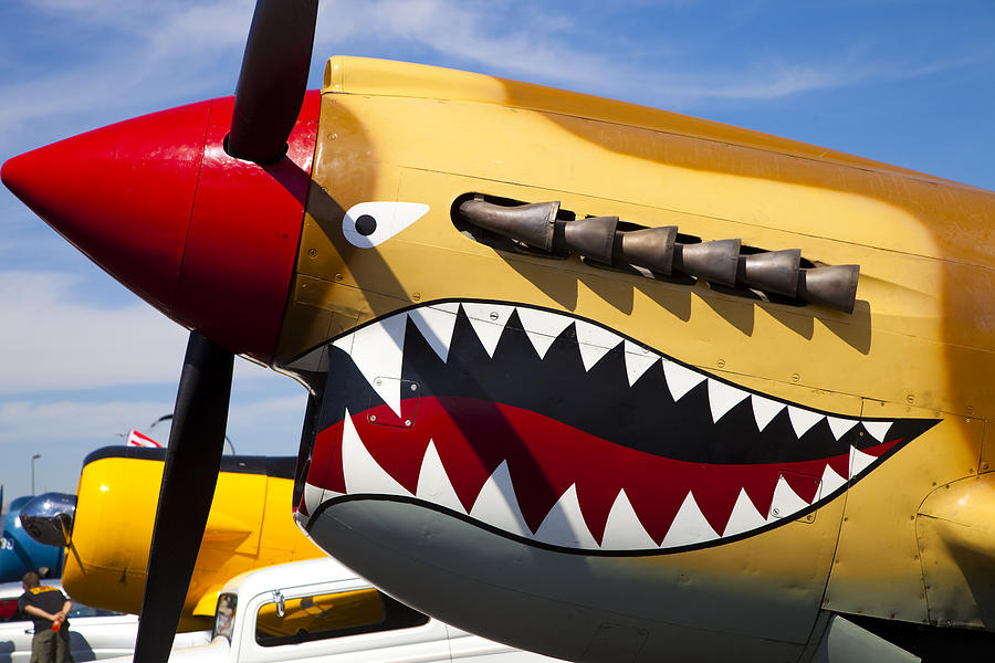 P-40 Nose Art Photograph by Michael Madrid - Pixels