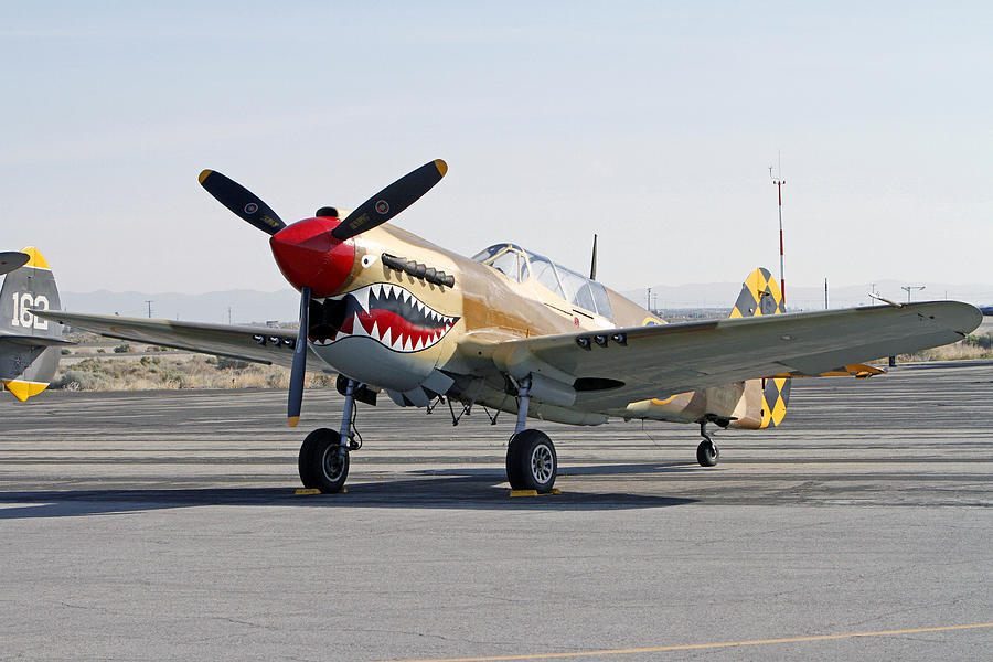 P-40 Photograph by Shoal Hollingsworth