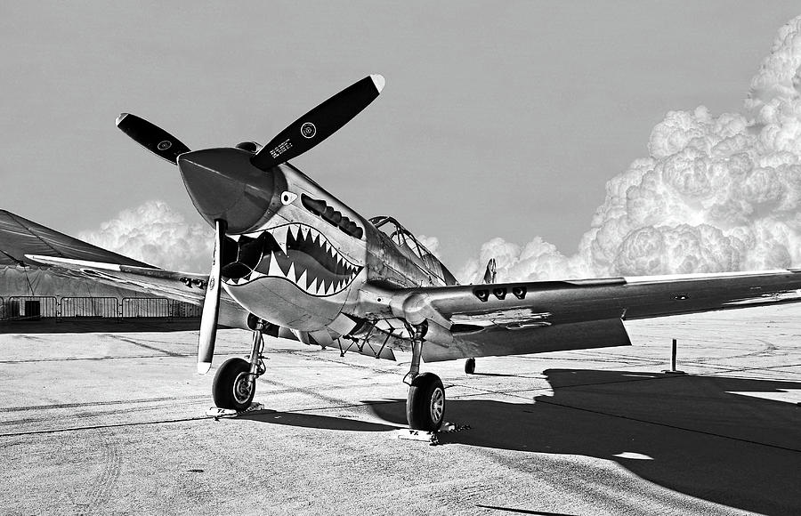 P-40 Warhawk - Flying Tigers Photograph by Weston Westmoreland