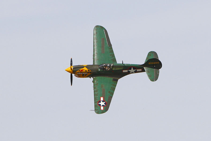 P-40E Warhawk in Flight Photograph by Shoal Hollingsworth