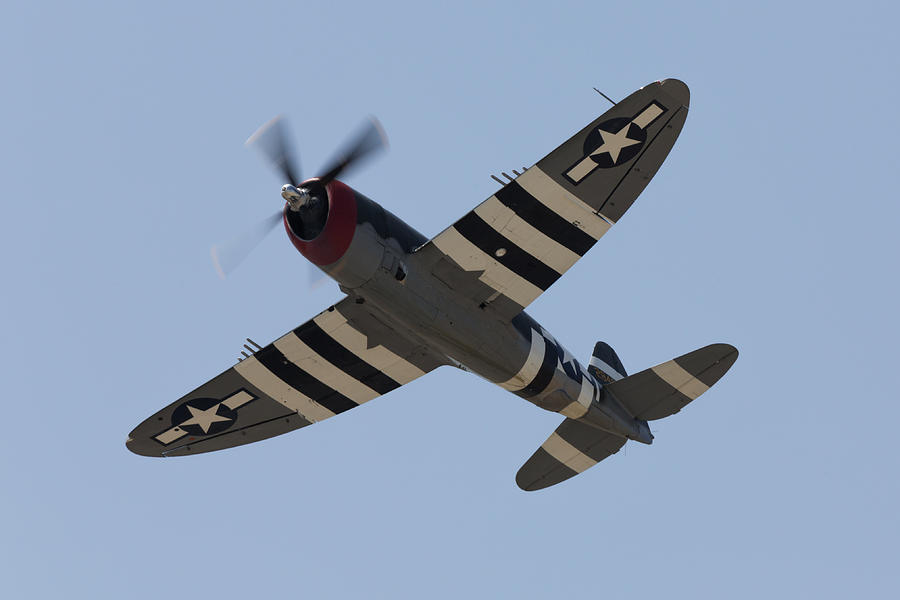 P-47 Invasion Stripes Overhead Photograph