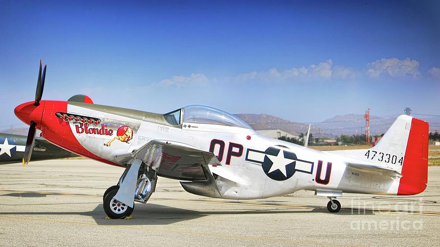 P-51 Blondie On the Flightline Photograph by Gus McCrea
