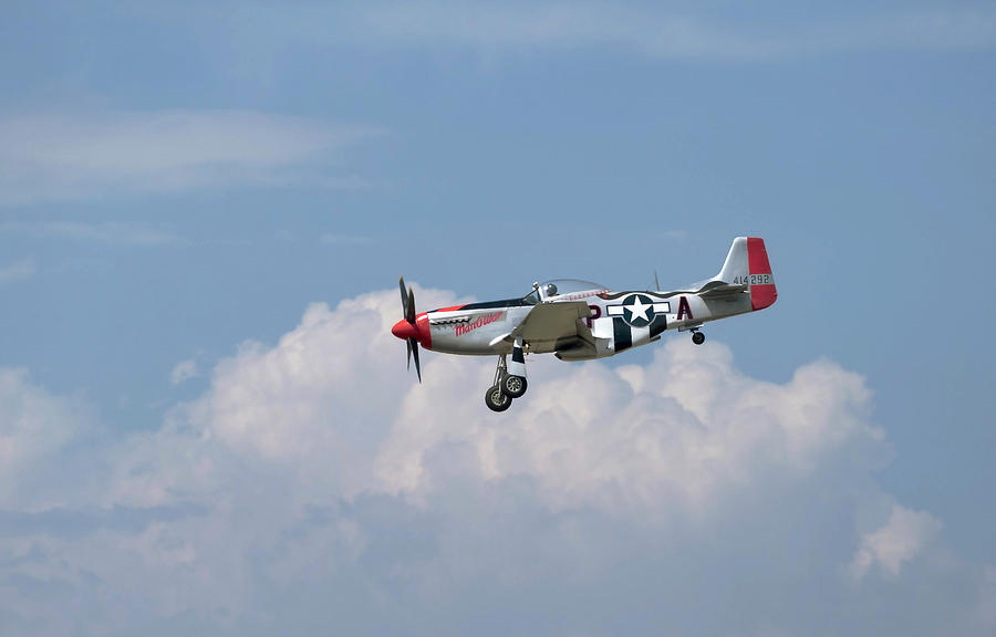 P-51 Flyby Photograph by Joe  Palermo