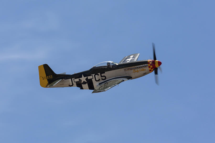 P-51 Lady Alice Photograph by John Daly