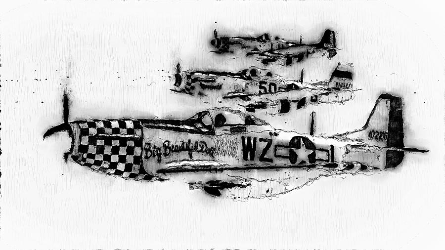 P-51 Mustang - 12 Digital Art by AM FineArtPrints