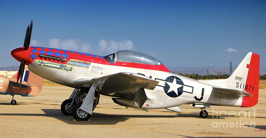 P-51 Mustang DiamondBack Photograph by Gus McCrea