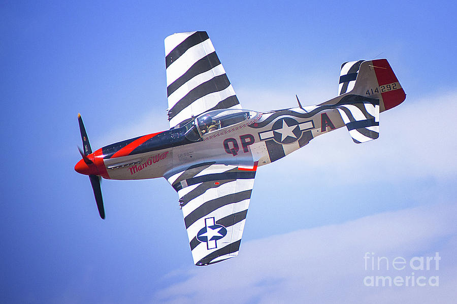 P-51 Mustang Fighter Photograph