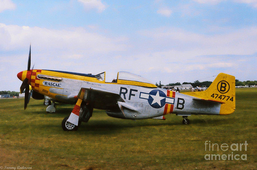 P-51 Mustang Rascal Photograph by Tommy Anderson