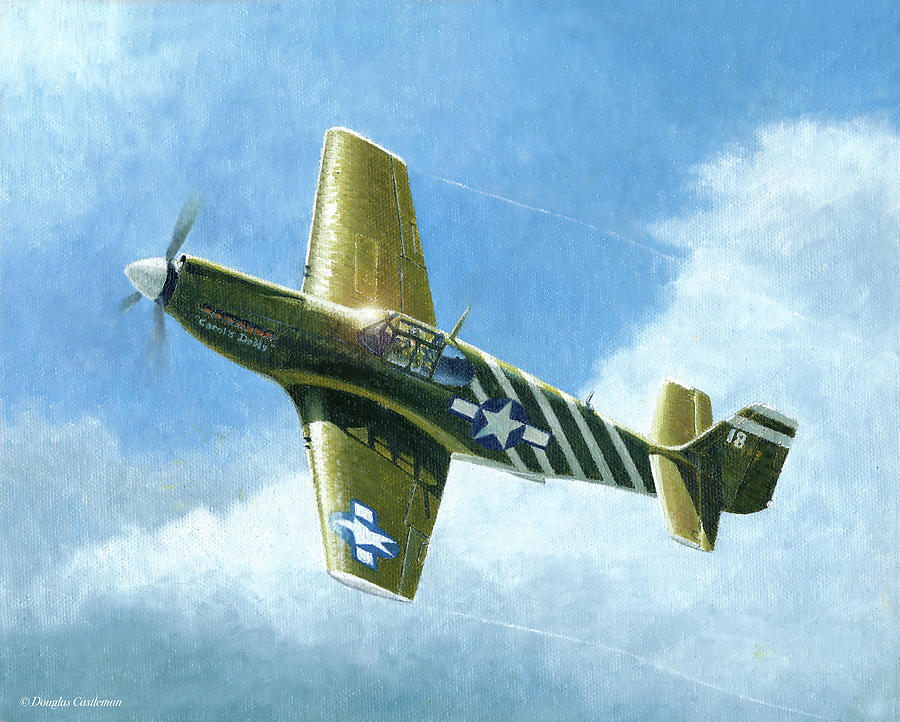 P-51A Mustang Painting by Douglas Castleman