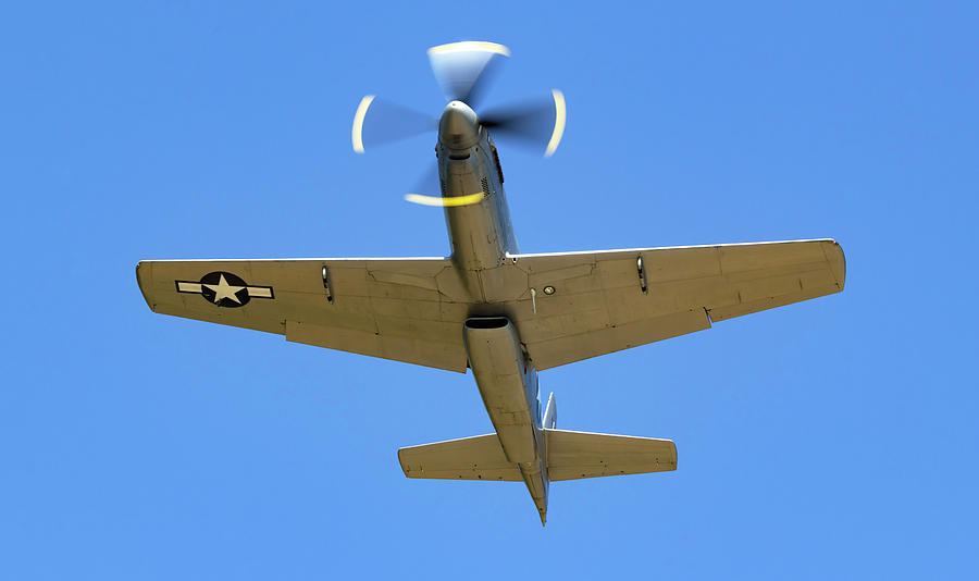 P-51H Mustang Photograph by Rick Pisio