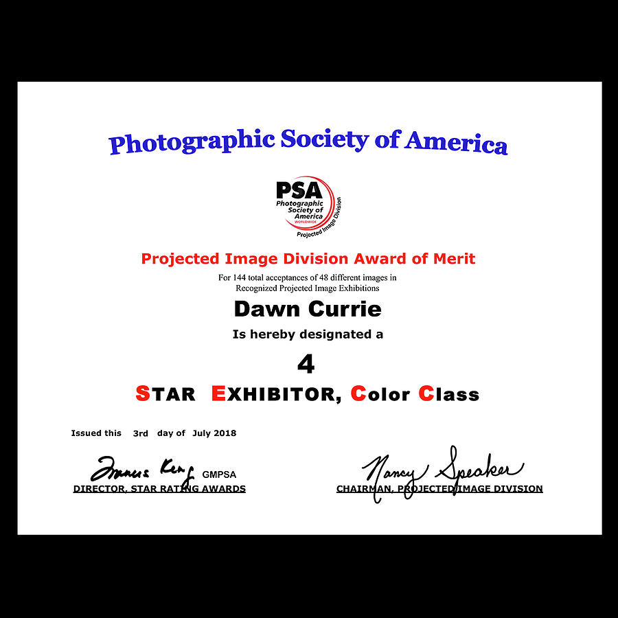 P S A - P I D C Four Star Exhibitor Photograph by Dawn Currie
