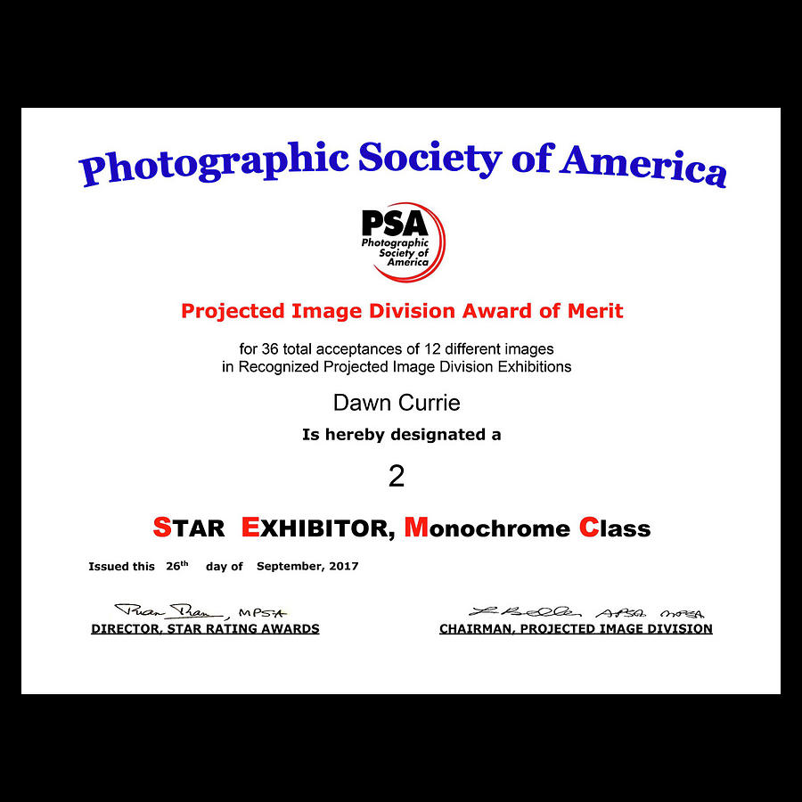 P S A - P I D M Two Star Exhibitor Photograph by Dawn Currie