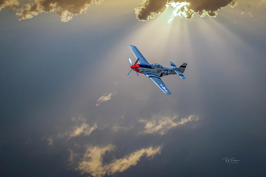 P51 Mustang Photograph by Bill Posner