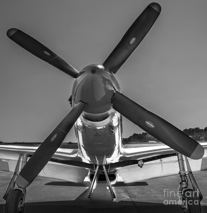 P51 Mustang Vintage Aircraft Photograph by Dale Powell