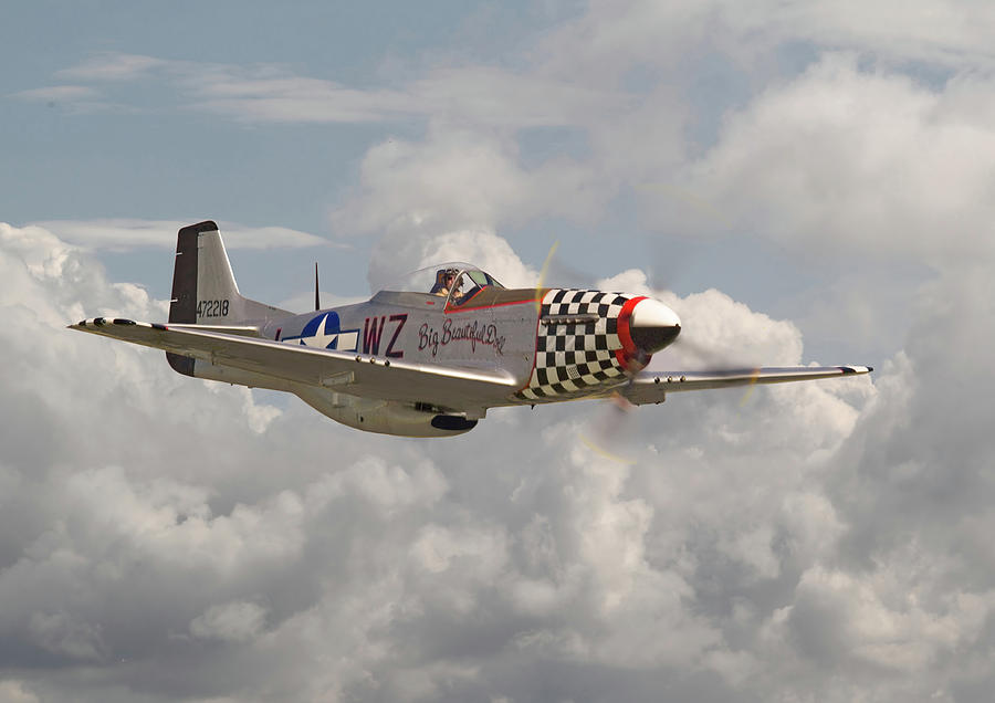 Airplane Digital Art - P51 Mustang - WW2 Classic Icon by Pat Speirs