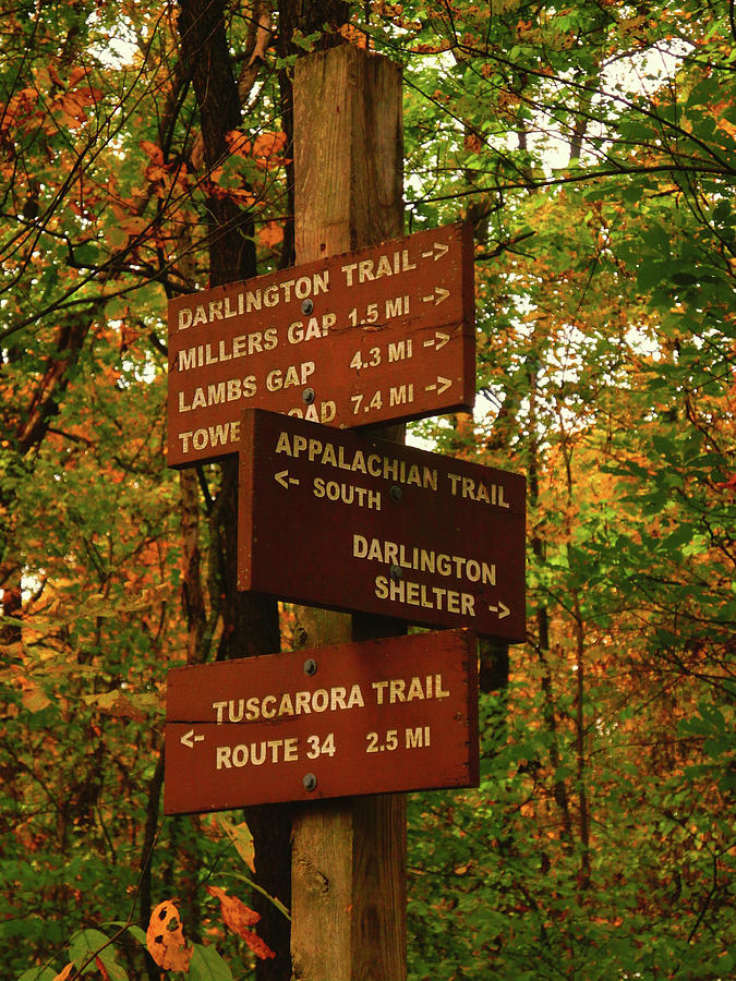 PA AT and Other Trails Sign Photograph by Raymond Salani III