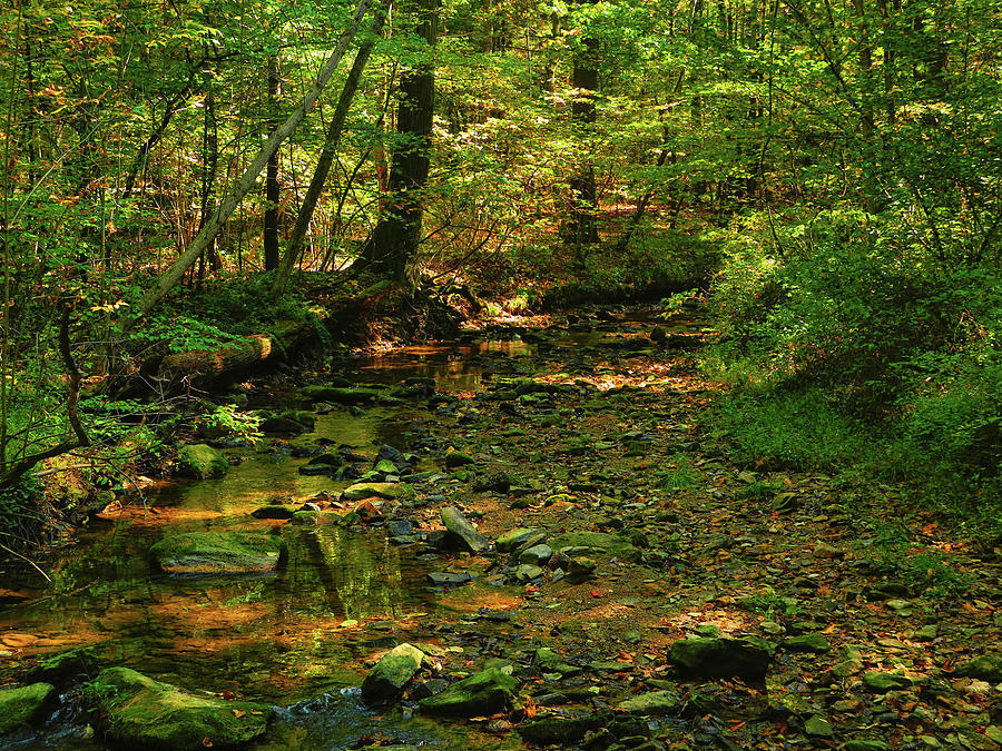 PA AT Creek in Early Autumn Photograph by Raymond Salani III