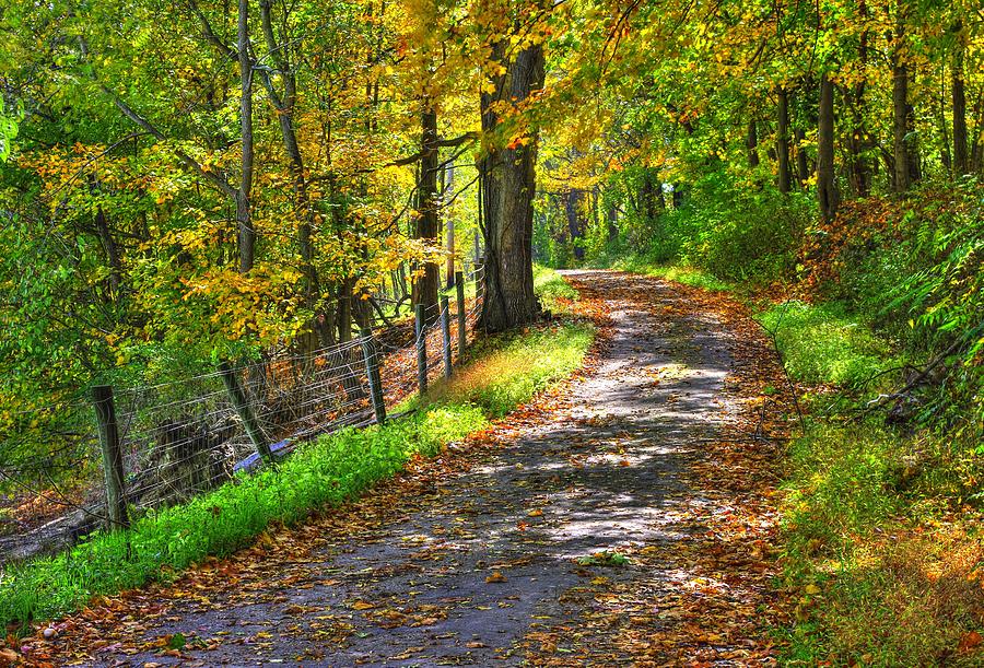 PA Country Roads - Autumn Colorfest #4 - Ridge Road Near the Wright Covered Bridge Washington County Photograph by Michael Mazaika
