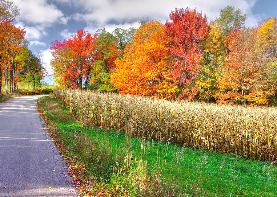 PA Country Roads - Autumn Colorfest No. 1 - Harvest Time - Laurel Highlands, Somerset County Photograph by Michael Mazaika