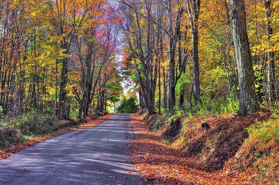 PA Country Roads - Autumn Colorfest No. 2 - Hallway of Color - Laurel Highlands, Somerset County Photograph by Michael Mazaika