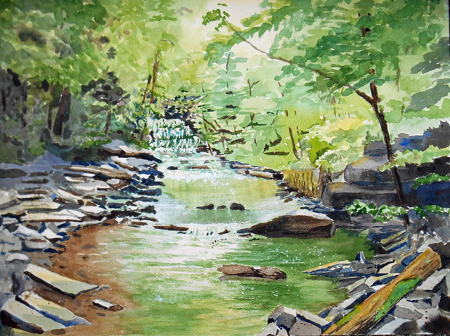 PA - Falls at Salt Springs Painting by Christine Lathrop