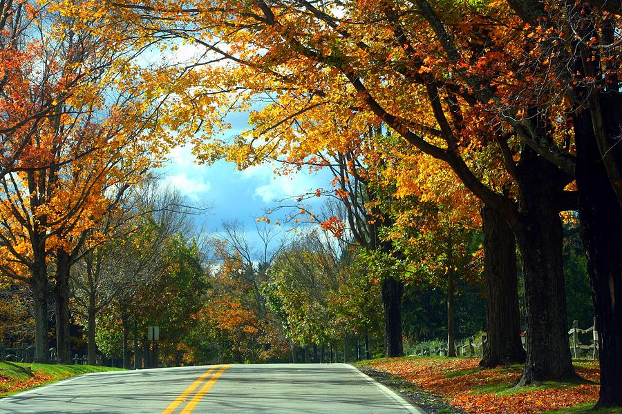 PA Mountains Photograph by Denise Moore