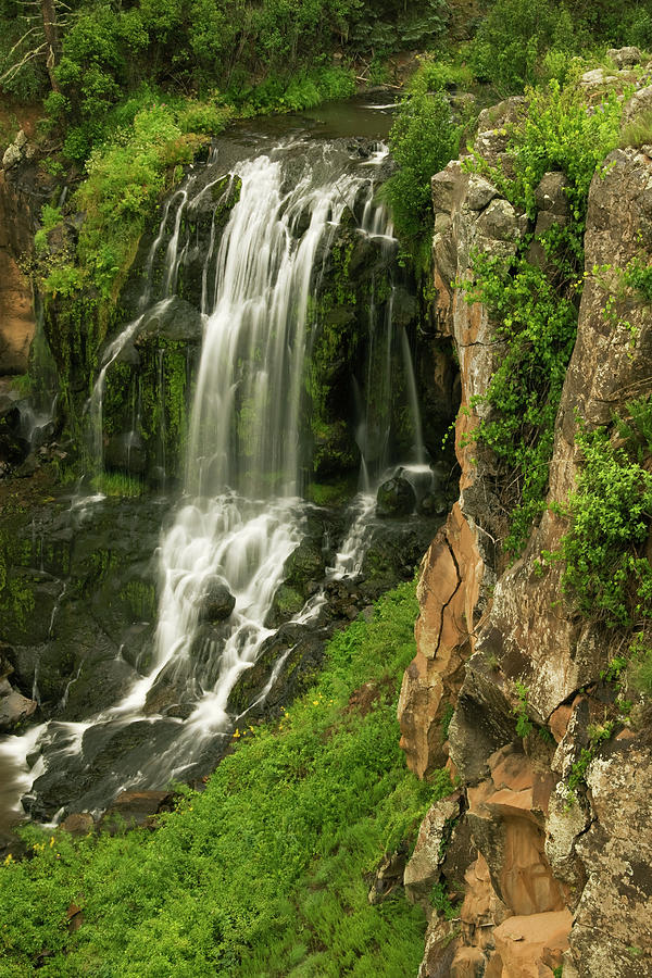 Pacheta Falls in the White Mts., Arizona Photograph by Dave Wilson