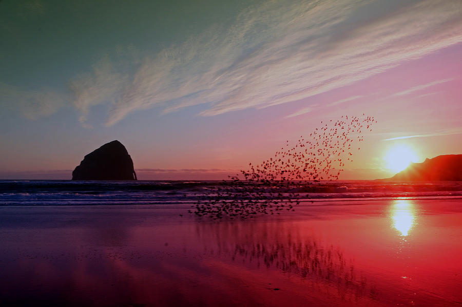 Pacific City Sunset Photograph by Kami McKeon