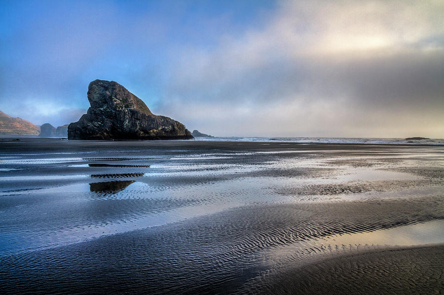 Pacific Coast at Low Tide Photograph by Debra and Dave Vanderlaan