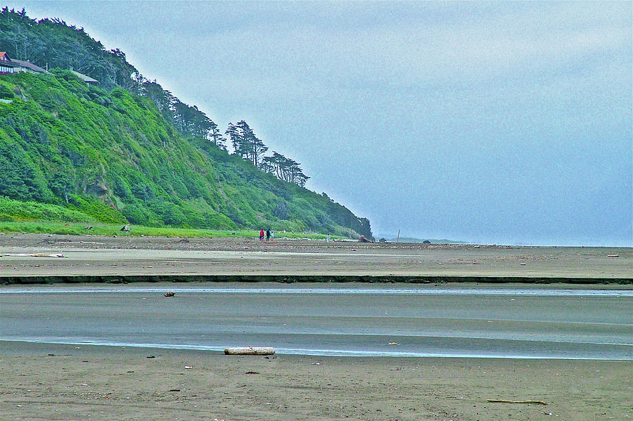 Pacific Coast at Southern Point of Olympic Peninsula near Ocean City, Washington Photograph by Ruth Hager
