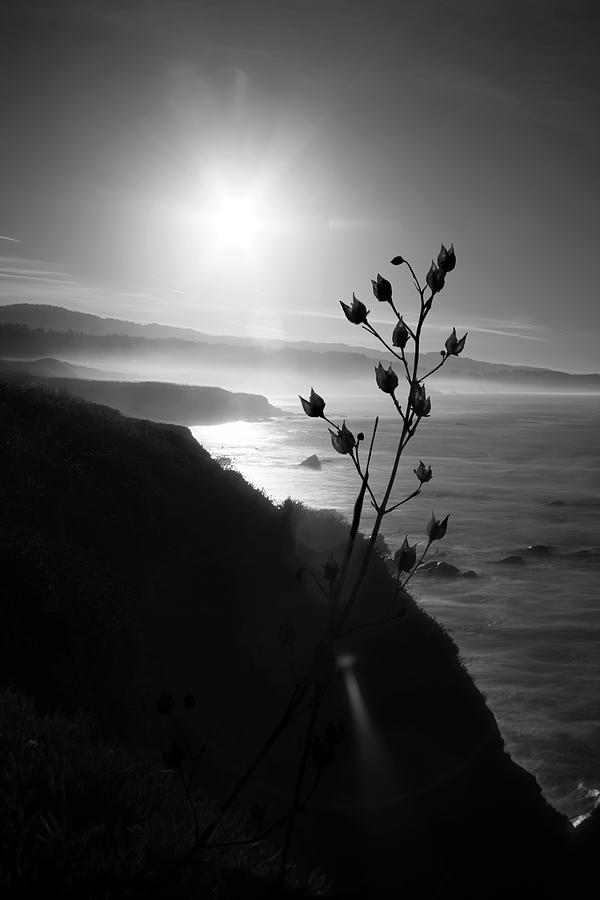 Pacific Coast B/W by Wes Jimerson Pacific Coast B/W by Wes Jimerson