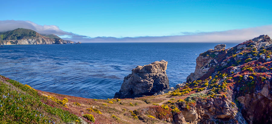 Pacific coast, California Photograph by Asif Islam