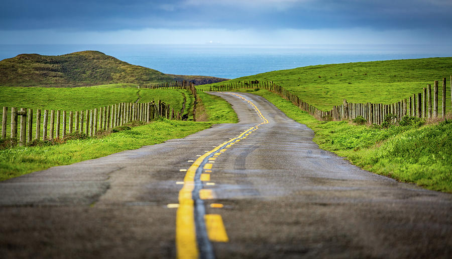 Pacific Coast Road to Tomales Bay Photograph by Donnie Whitaker