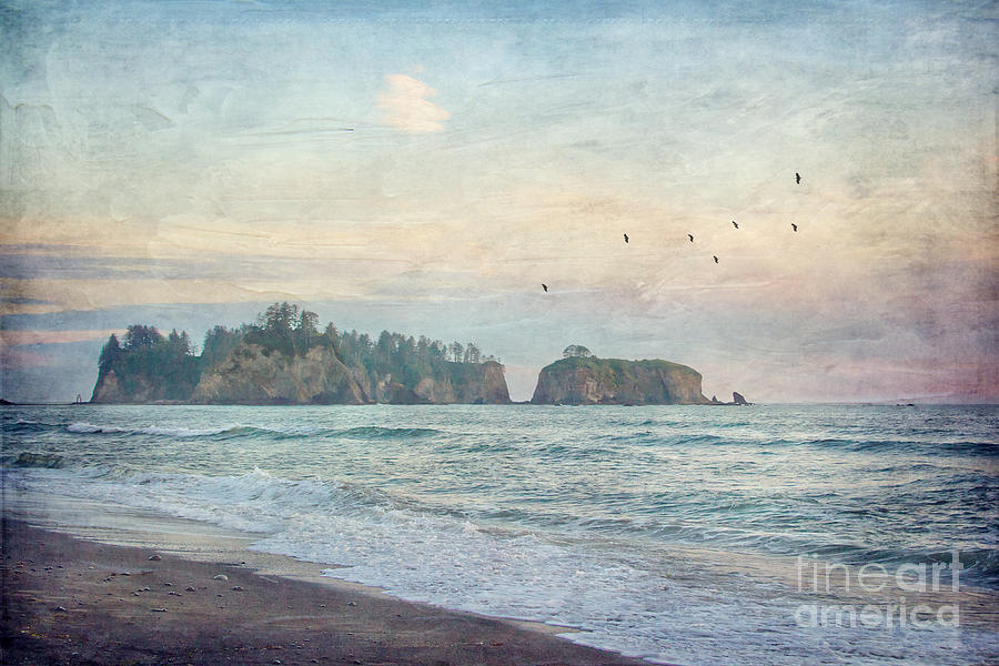 Beach Photograph - Pacific Coast Sea Stacks by Joan McCool