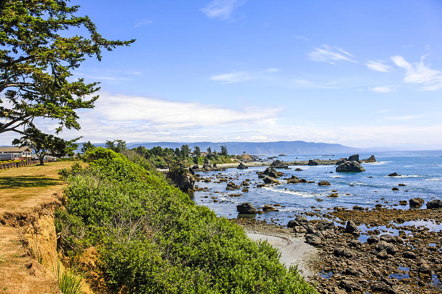 Pacific Coastline in California Photograph by Chris Smith