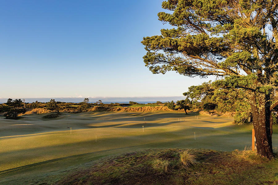 Pacific Dunes, Punch Bowl Photograph by Mike Centioli