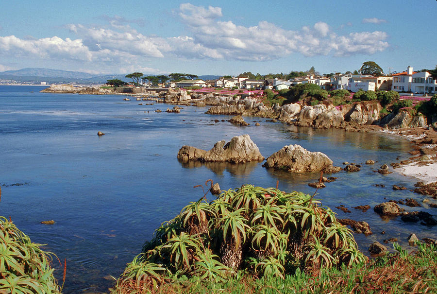 Pacific Grove, CA Photograph by Dr Janine Williams