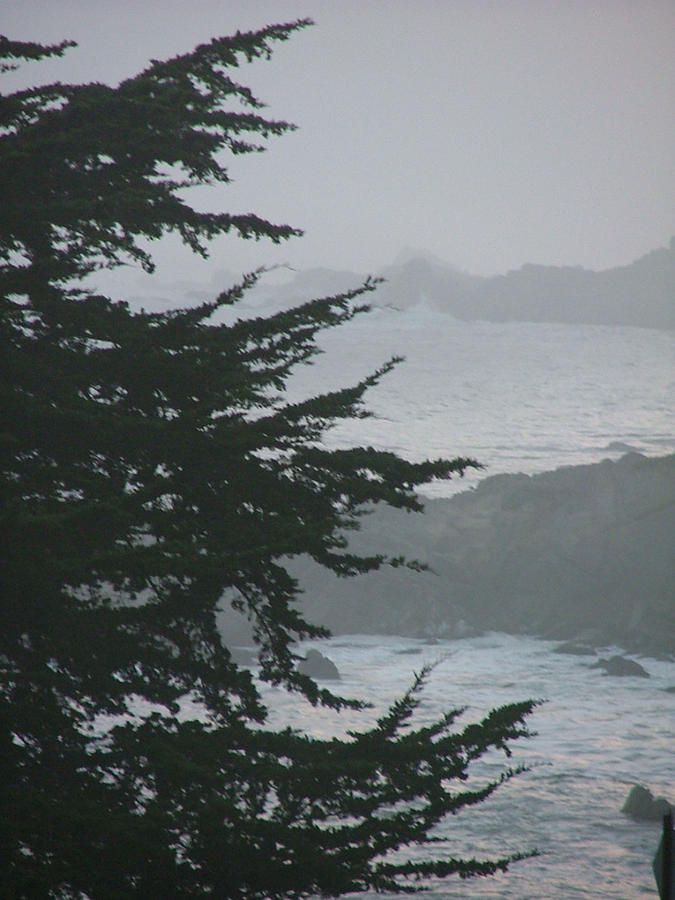 Pacific Grove Early AM Photograph by Donna Thomas