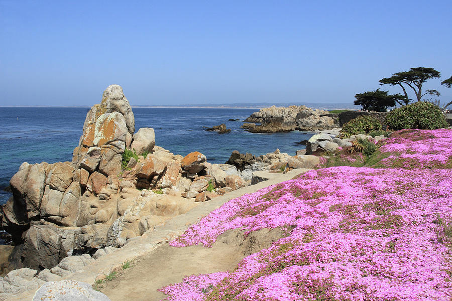 Pacific Grove Photograph by Lou Ford