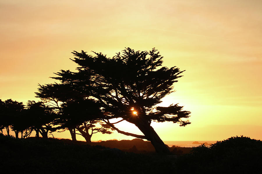 Pacific Grove Sunset Photograph by Art Block Collections