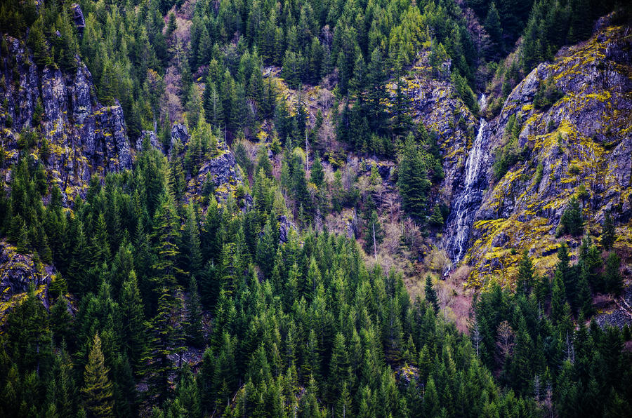Pacific Northwest Waterfall Photograph