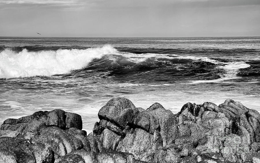 Pacific Ocean California 2018 Black White Photograph by Chuck Kuhn - Pixels