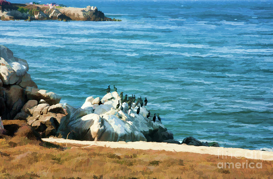 Pacific Ocean Monterey California  Photograph by Chuck Kuhn