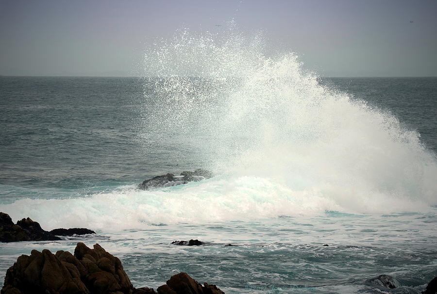Pacific Splash Photograph by Joyce Dickens