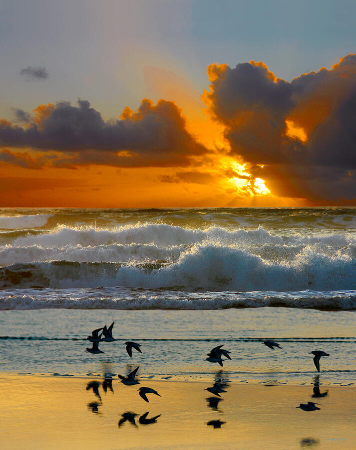 Pacific Sun Photograph by Raymond Klein - Fine Art America