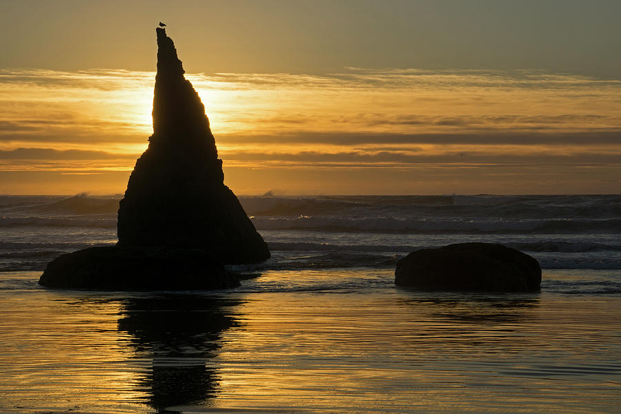 Pacific Sunset - 365-245 Photograph by Inge Riis McDonald