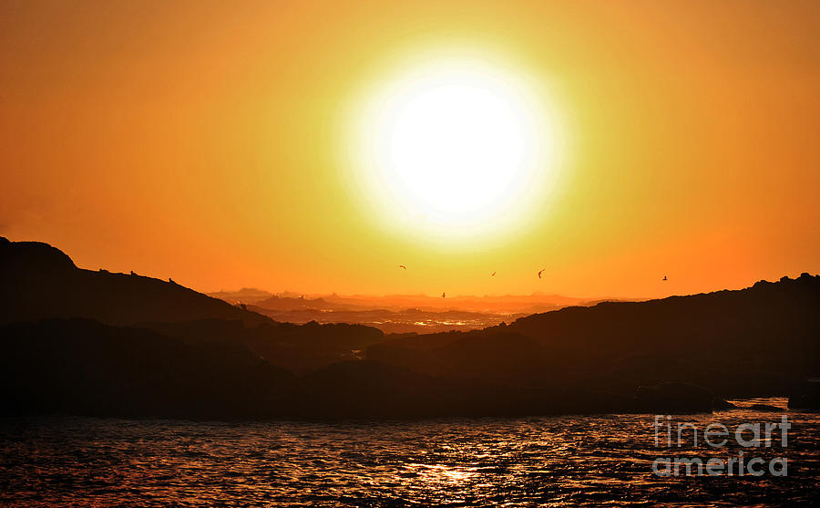 Pacific Sunset Photograph by Frank Larkin