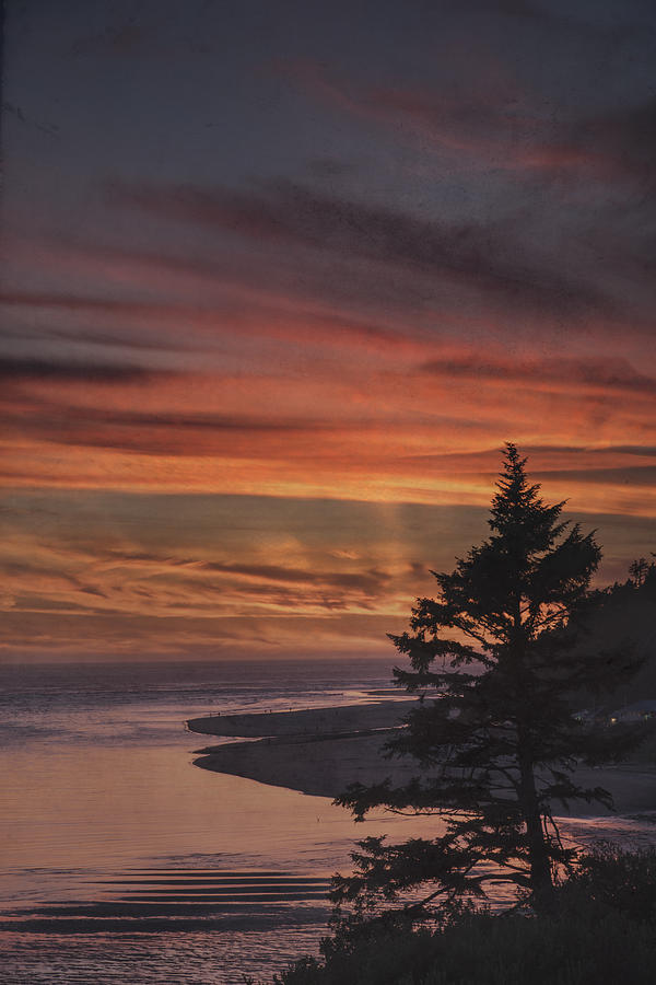 Pacific Twilight Photograph by Wild Sage Studio Karen Powers - Fine Art ...